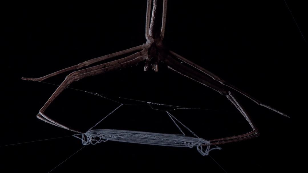 微型猛兽世界之旅 Micro Monsters 3D