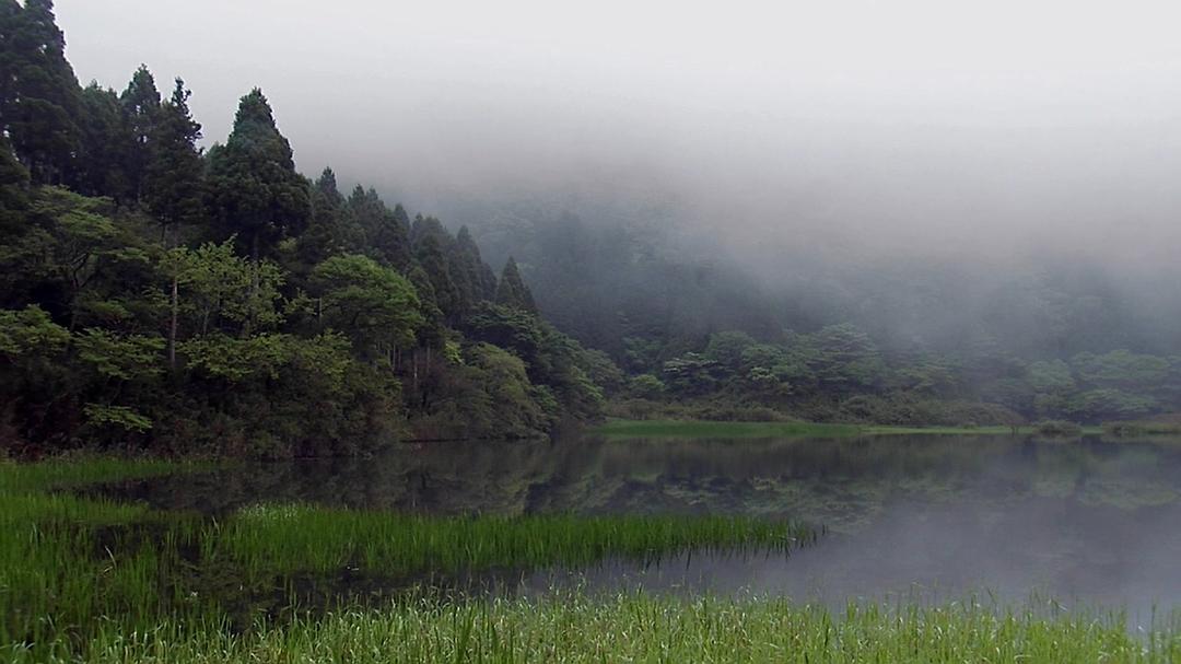 微型猛兽世界之旅 Micro Monsters 3D