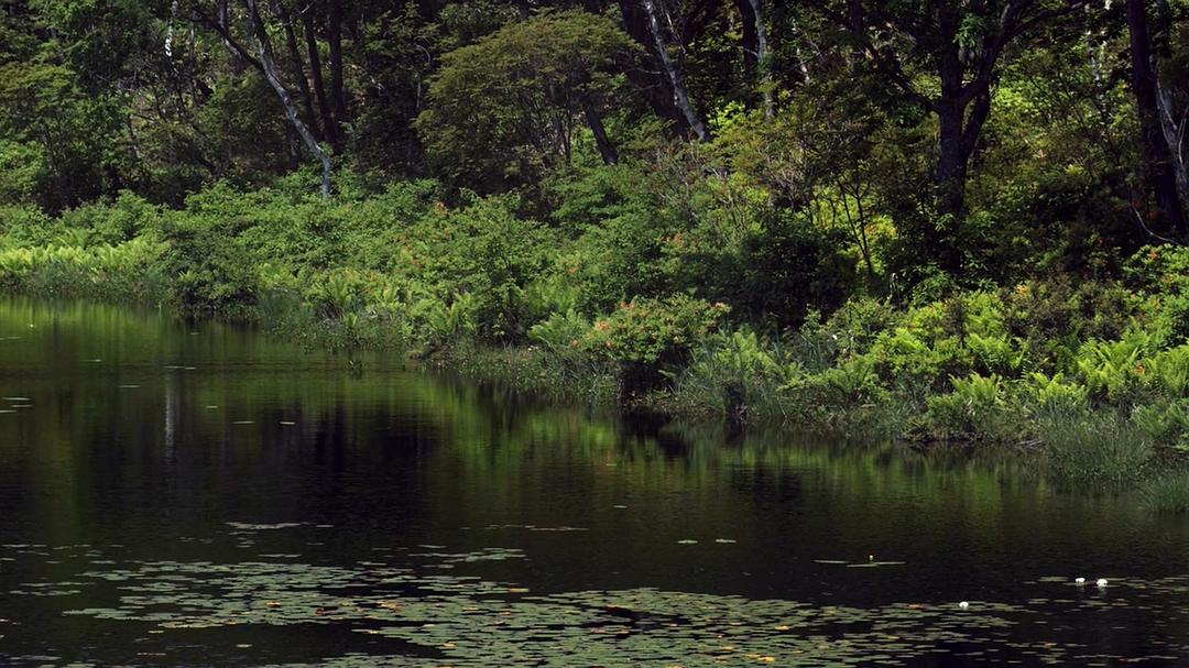 微型猛兽世界之旅 Micro Monsters 3D