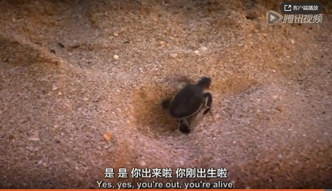 北回归线 Tropic Of Cancer