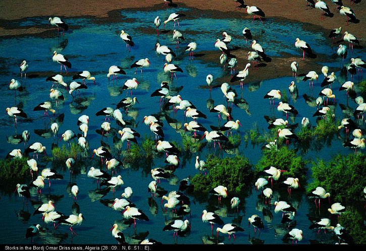 鸟瞰地球 La Terre vue du ciel