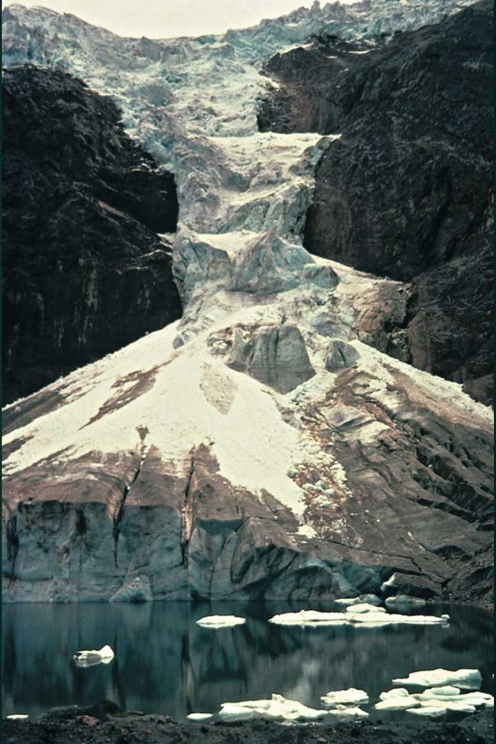 难以忽视的真相 An Inconvenient Truth