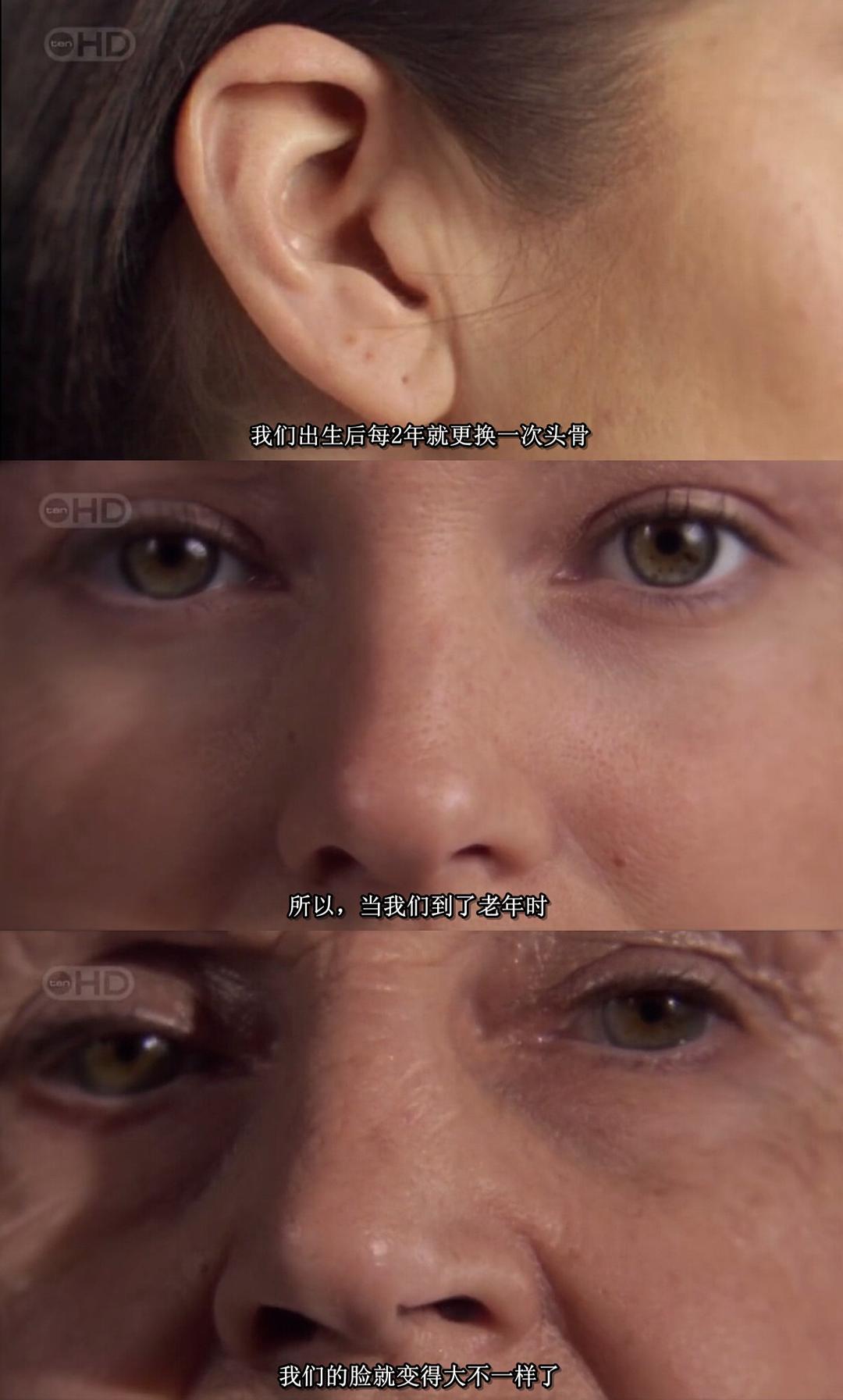 人体内旅行 Inside the Living Body