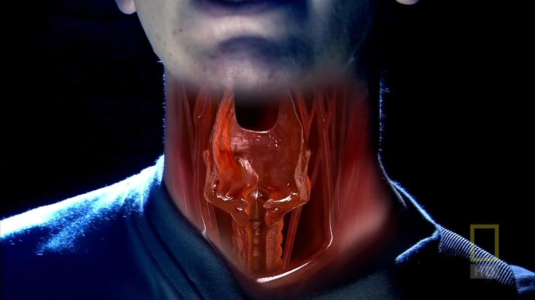 人体内旅行 Inside the Living Body