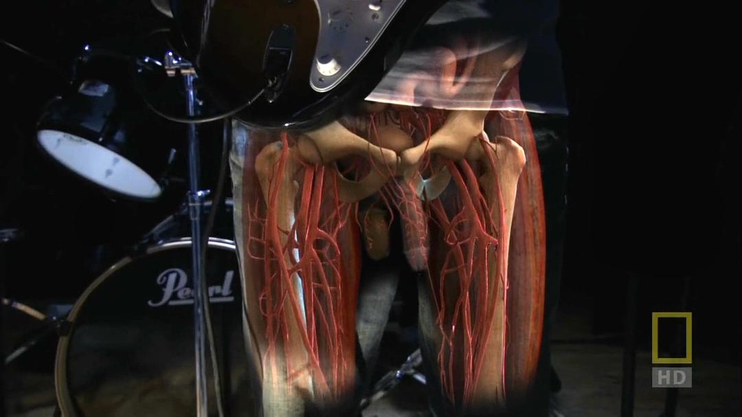 人体内旅行 Inside the Living Body