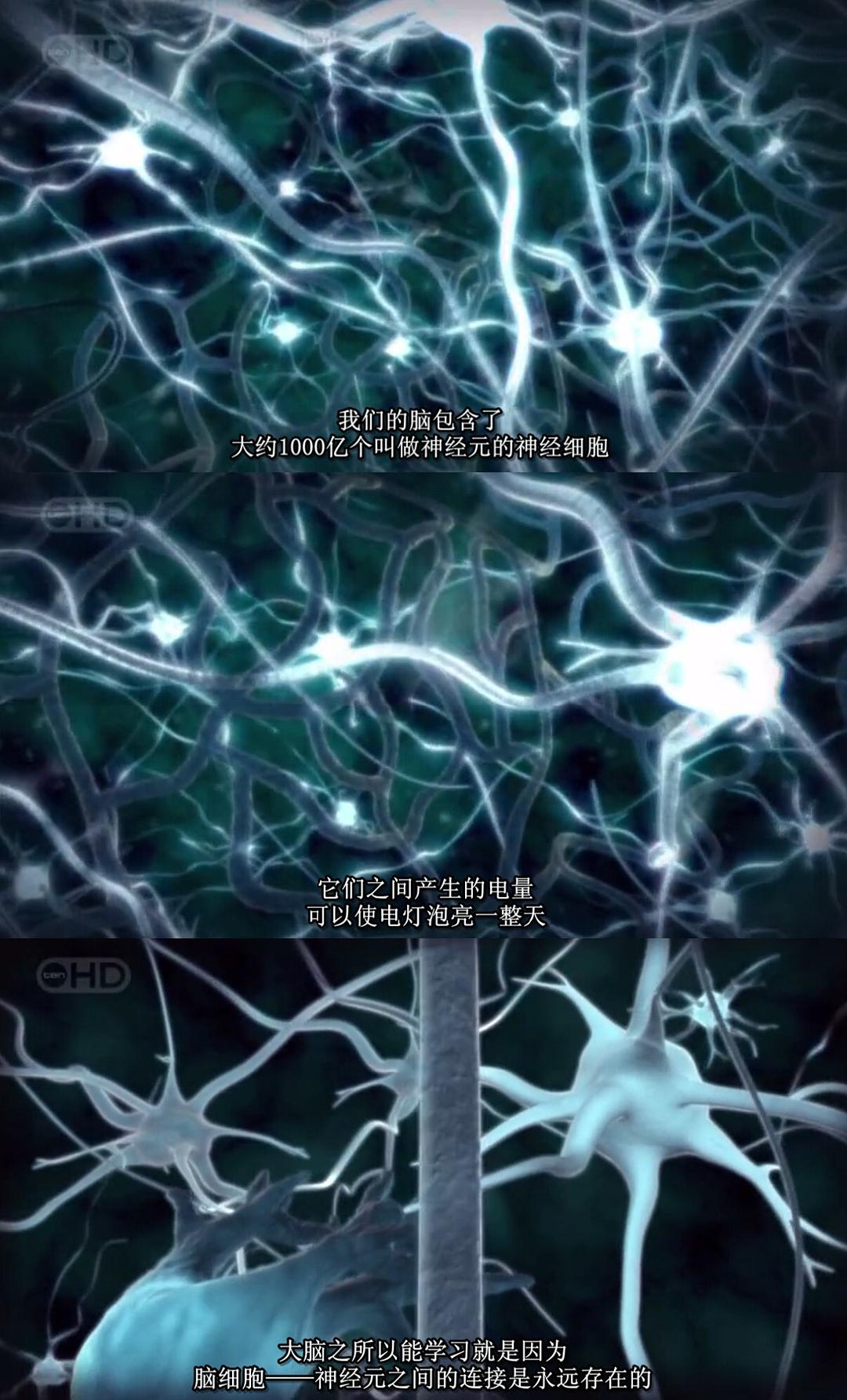 人体内旅行 Inside the Living Body