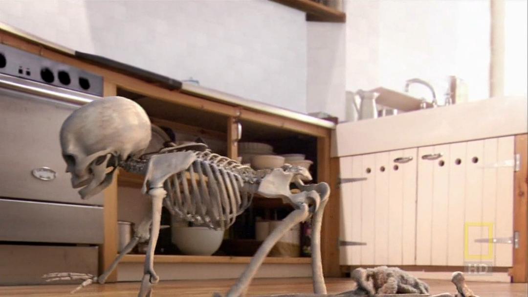 人体内旅行 Inside the Living Body