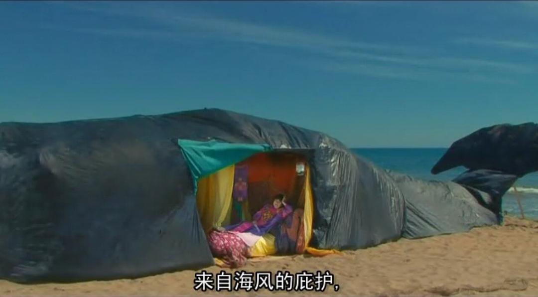 阿涅斯的海滩 Les plages d'Agnès