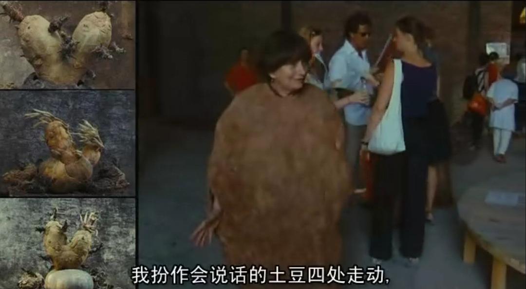 阿涅斯的海滩 Les plages d'Agnès