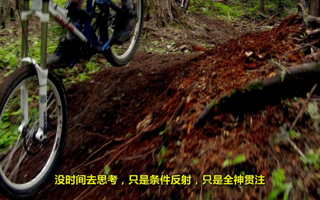 山地自行车之旅 Life Cycles