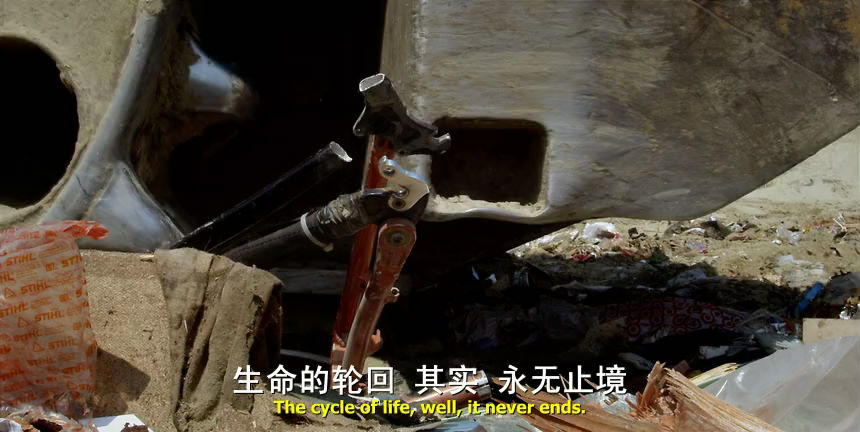 山地自行车之旅 Life Cycles