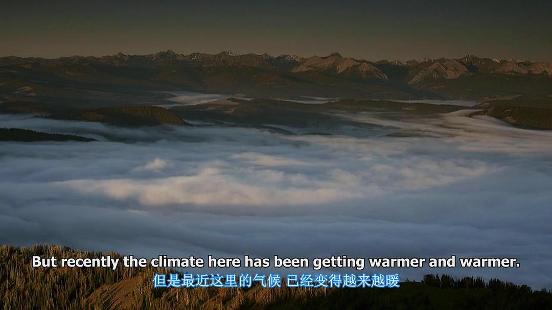 黄石公园 Yellowstone