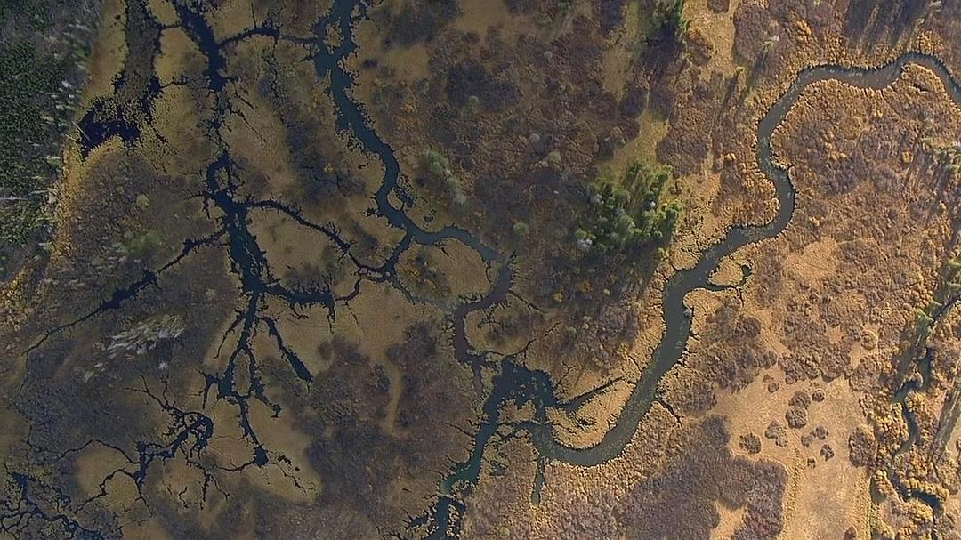 黄石公园 Yellowstone