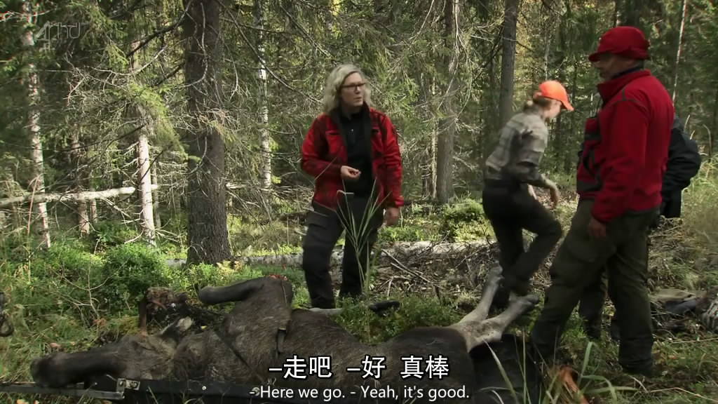 北欧半岛游记 Scandimania