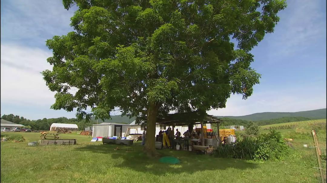 食品公司 Food, Inc.