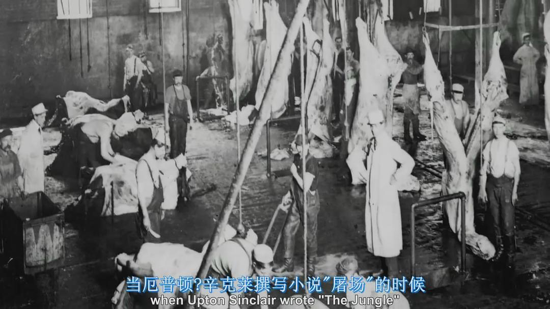 食品公司 Food, Inc.