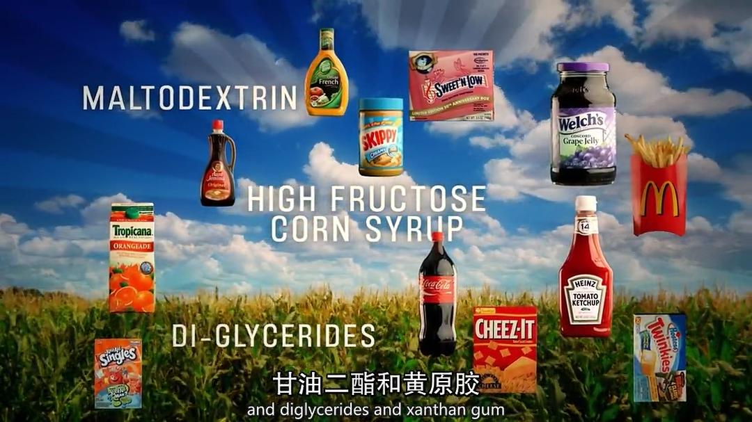 食品公司 Food, Inc.