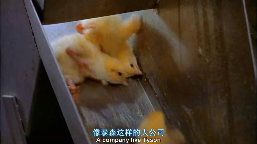 食品公司 Food, Inc.