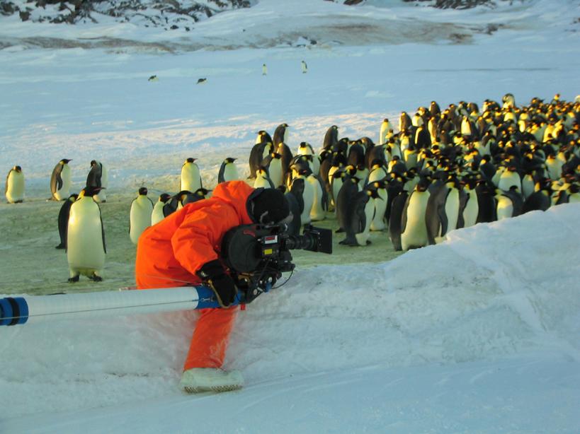帝企鹅日记 La marche de l'empereur