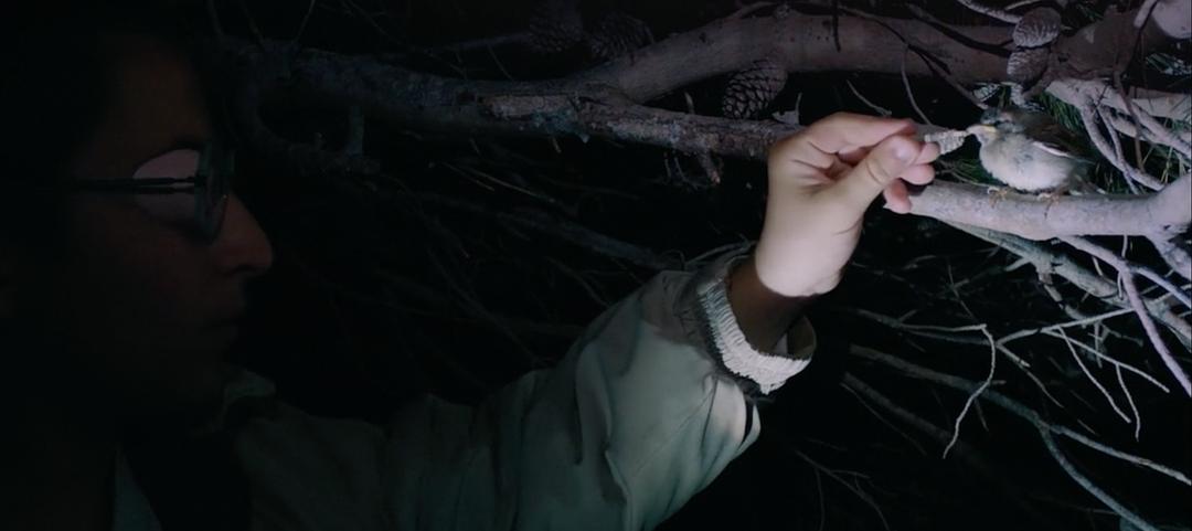 海上火焰 Fuocoammare