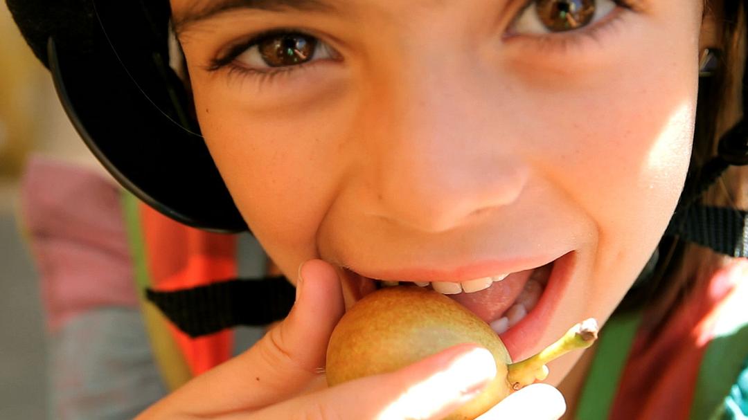 浮生一日 Life in a Day