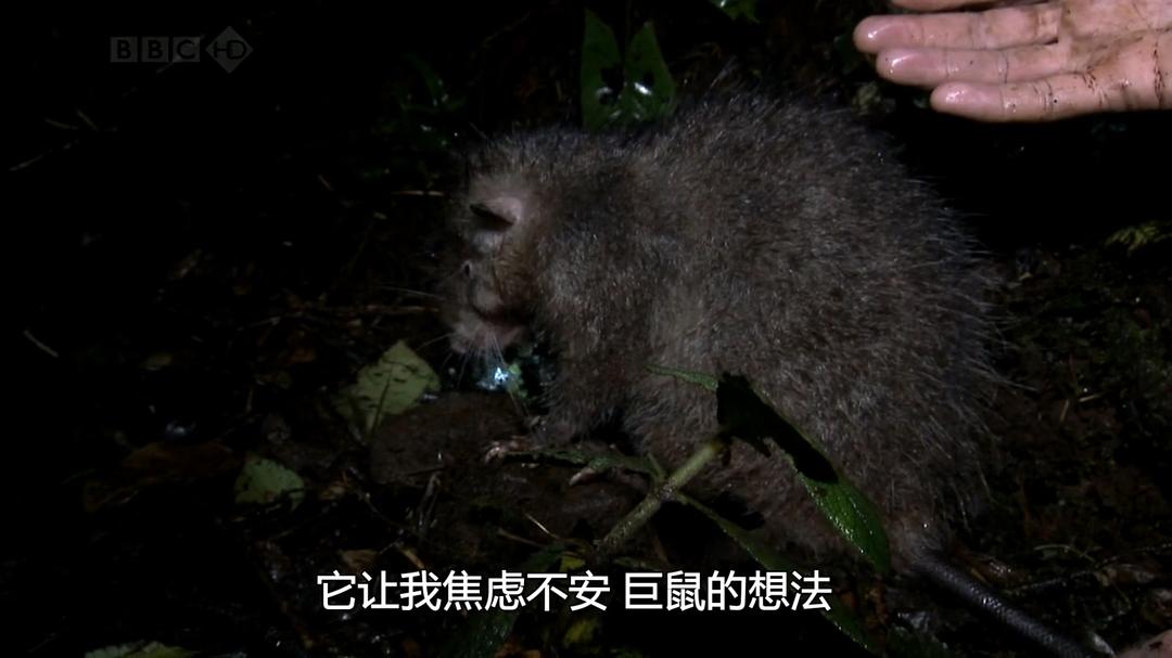 火山失落之地 Lost Land of the Volcano