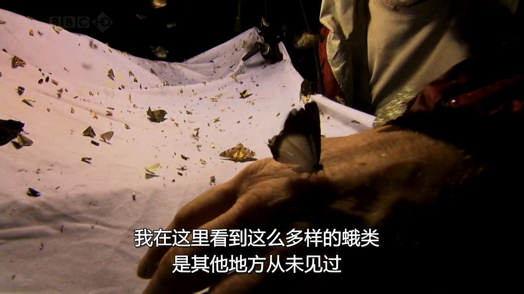 火山失落之地 Lost Land of the Volcano