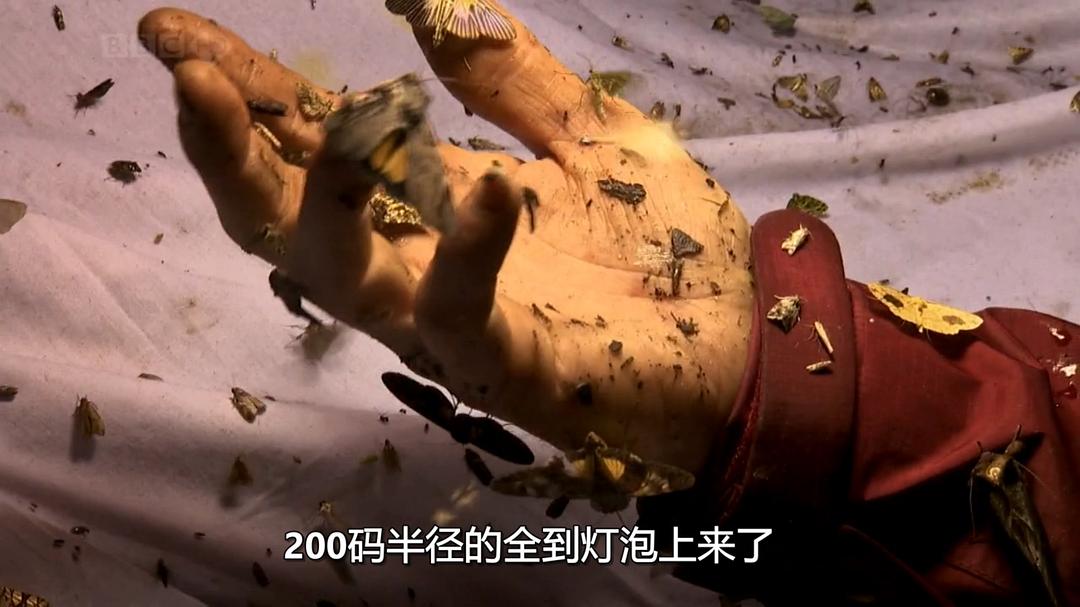 火山失落之地 Lost Land of the Volcano