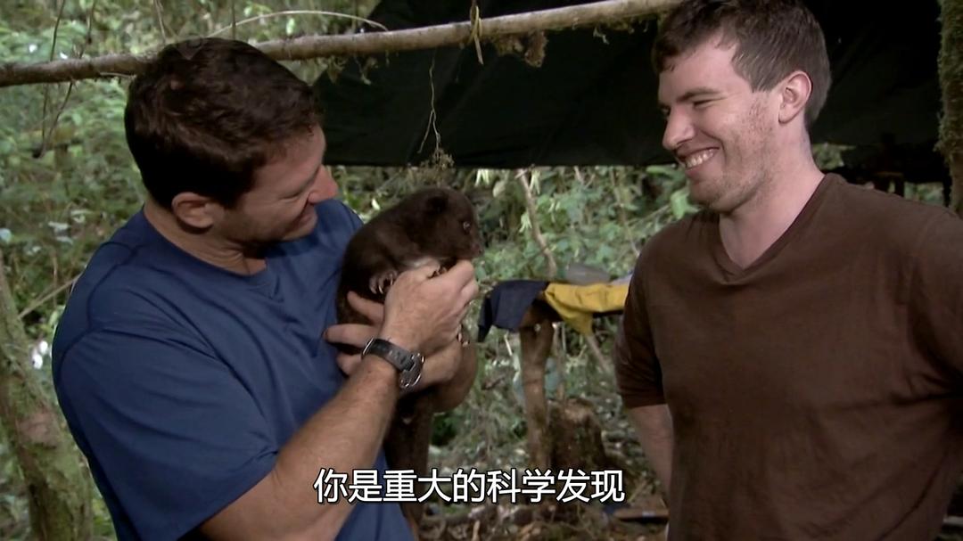 火山失落之地 Lost Land of the Volcano