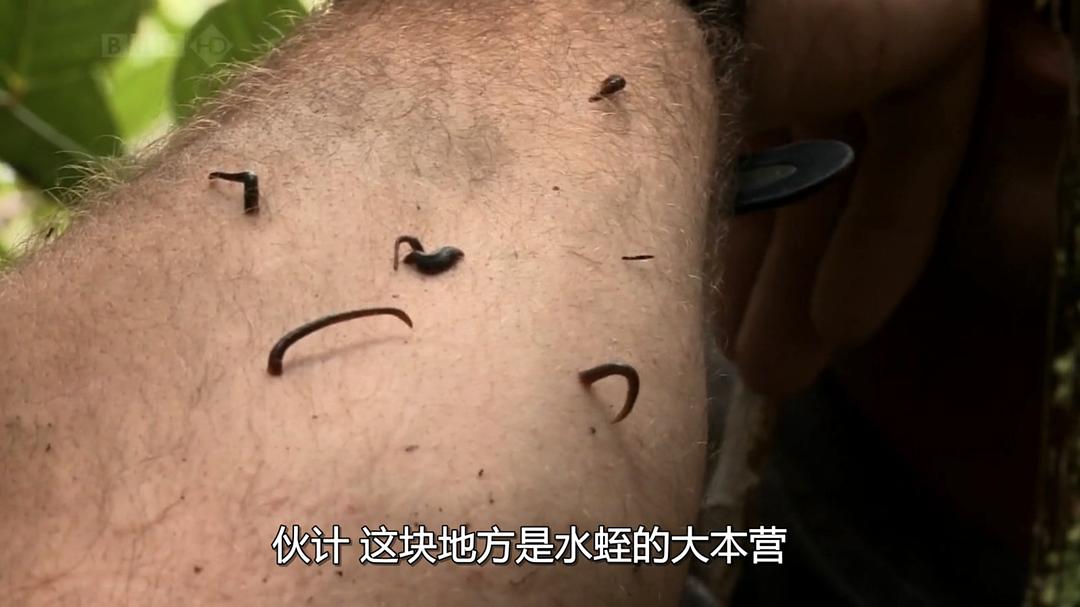 火山失落之地 Lost Land of the Volcano