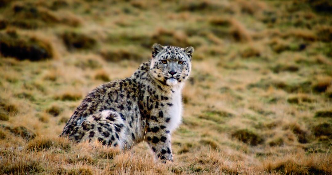 我们诞生在中国 Born in China