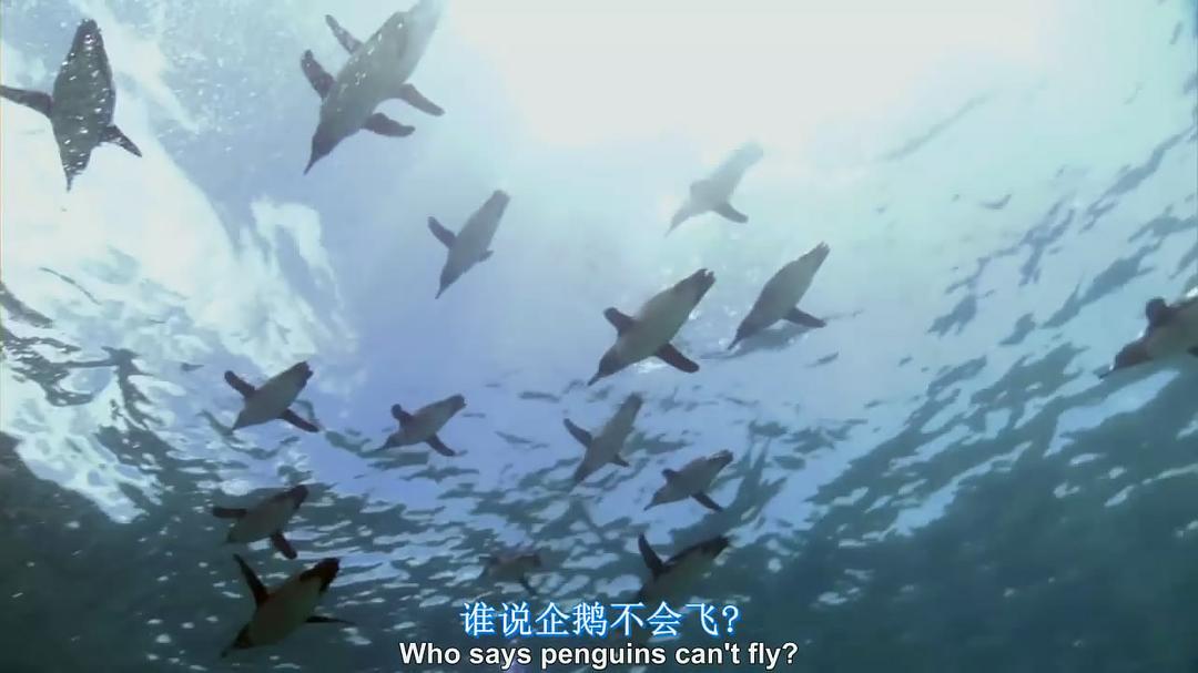 南太平洋 South Pacific