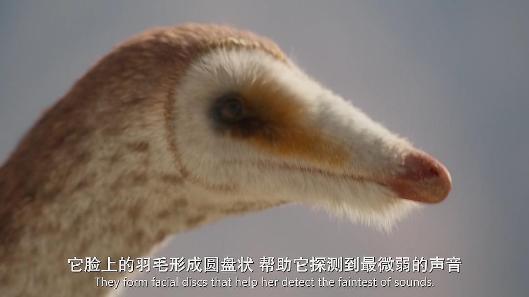 史前星球 Prehistoric Planet