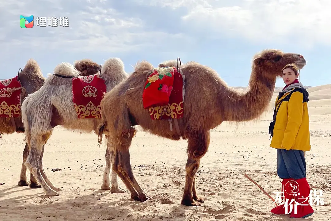 无穷之路II:无价之保 無窮之路 II – 無價之保