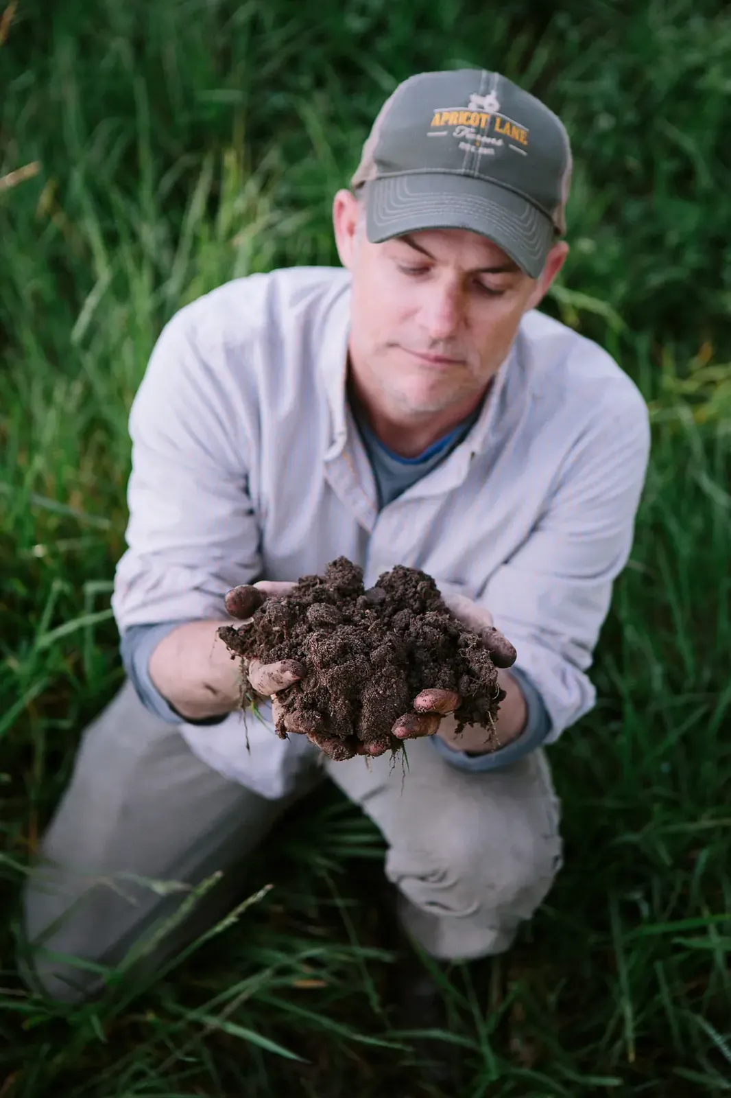 最大的小小农场:回归 The Biggest Little Farm: The Return