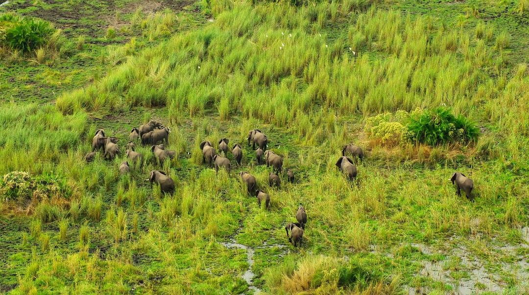 幸存的天堂 Surviving Paradise: A Family Tale