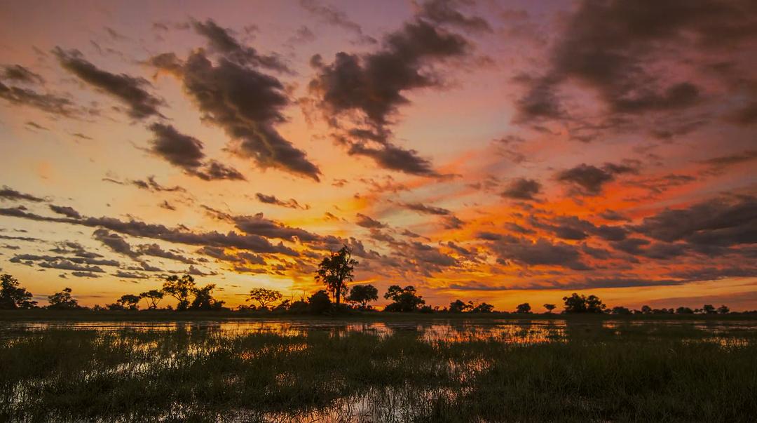 幸存的天堂 Surviving Paradise: A Family Tale