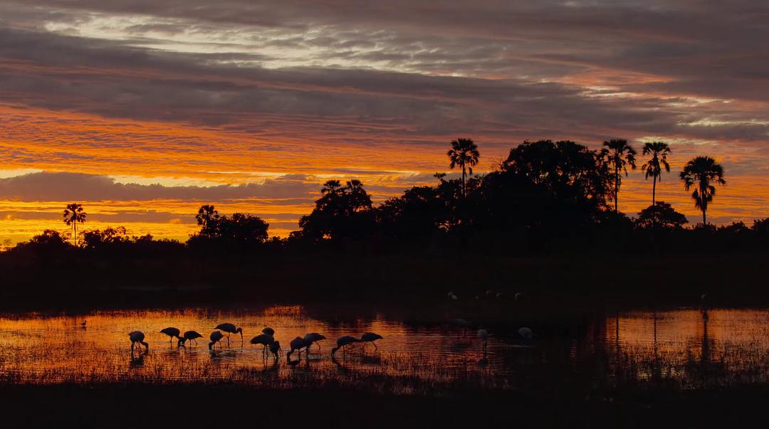 幸存的天堂 Surviving Paradise: A Family Tale