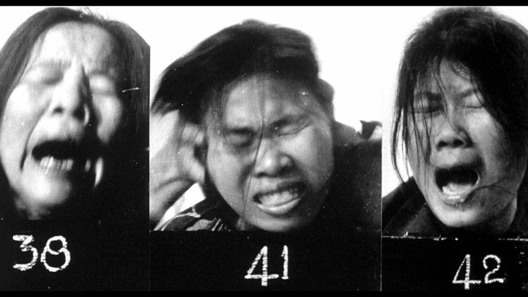 心灵与智慧 Hearts and Minds