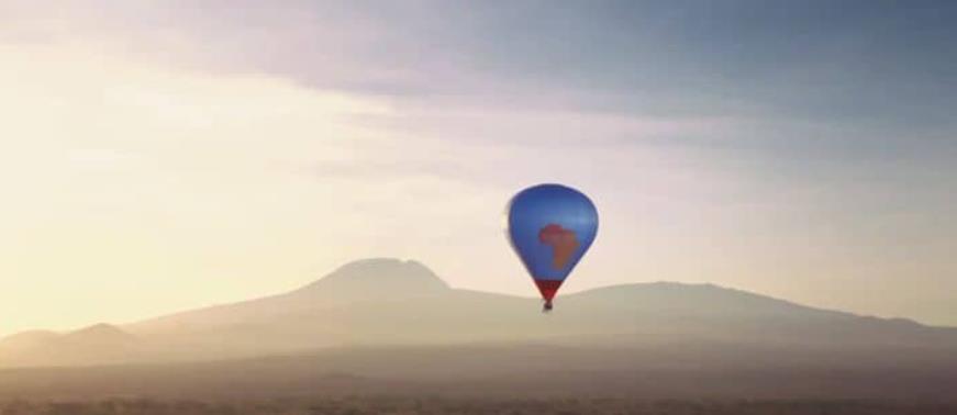 野生猫科动物 Wild Cats