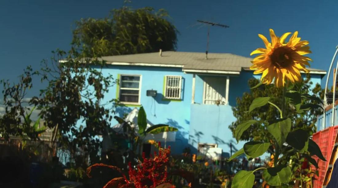 你能挖这个吗 Can You Dig This