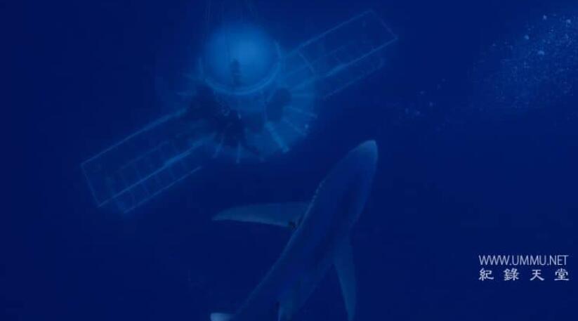 怪物真子:新鲜血液 Monster Mako: Fresh Blood