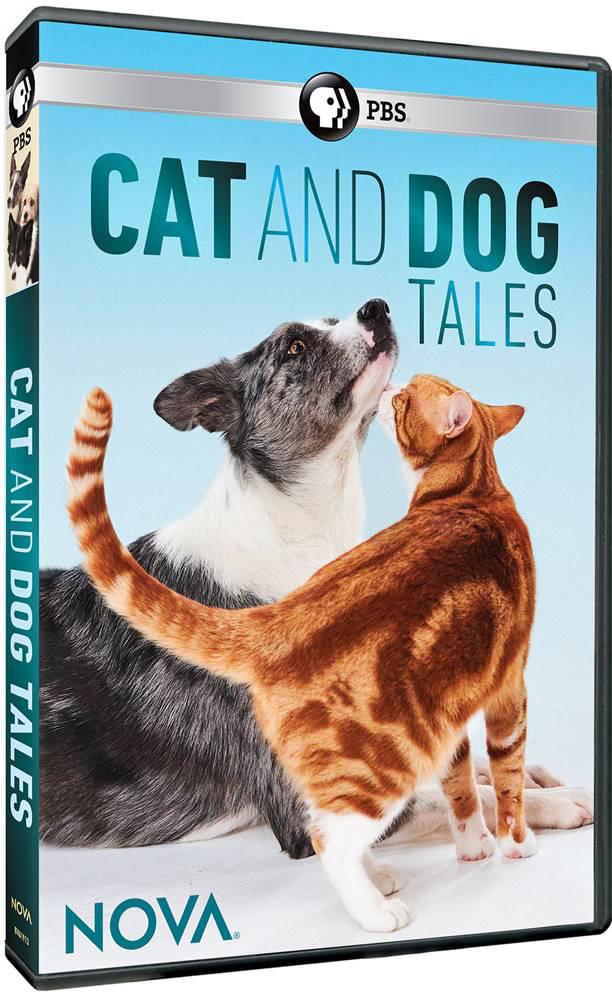 猫的故事 cat tales