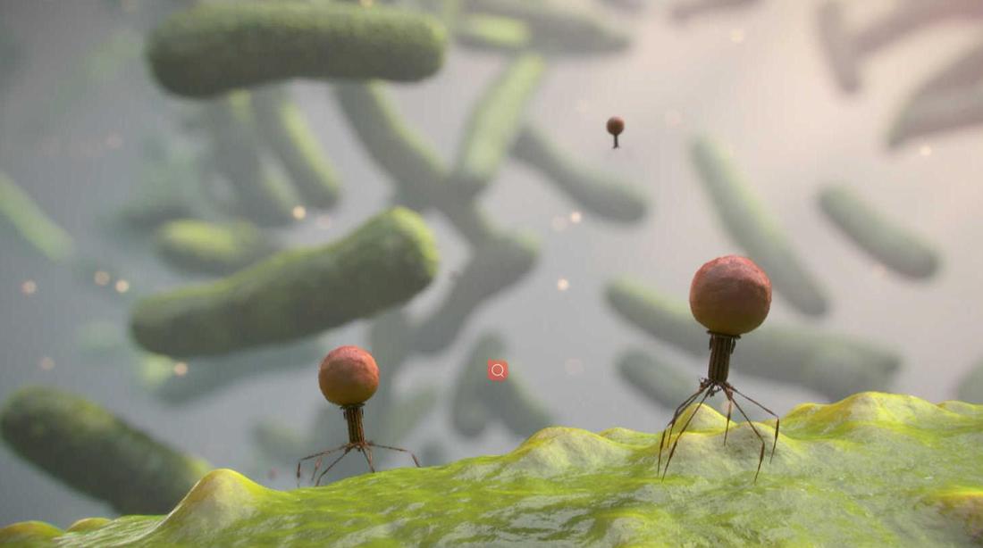 人体上的生命 Life On Us