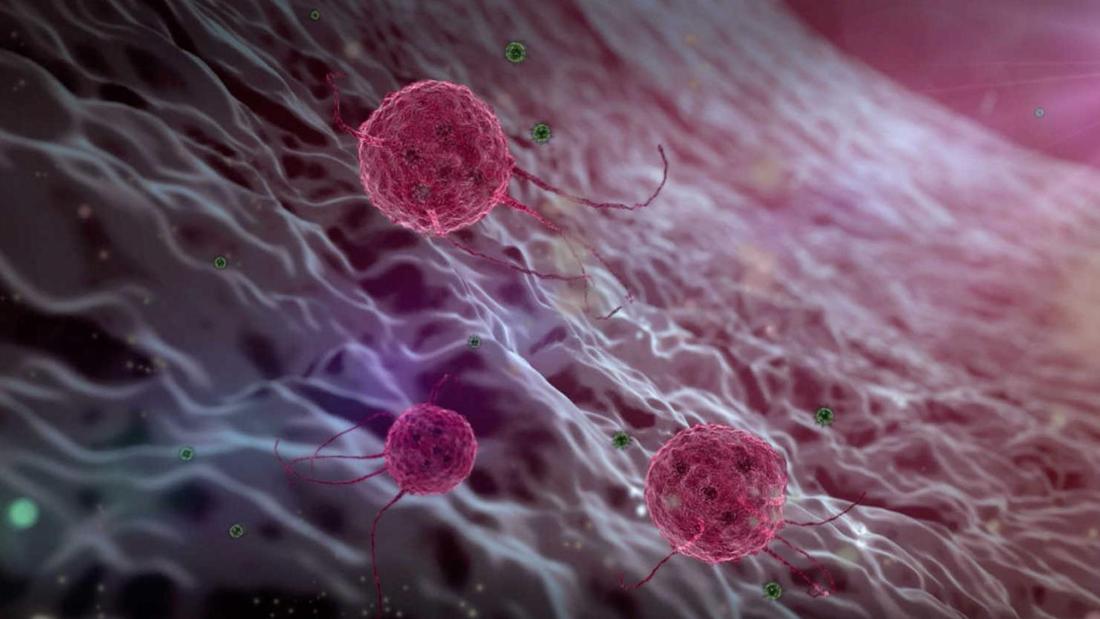 人体上的生命 Life On Us