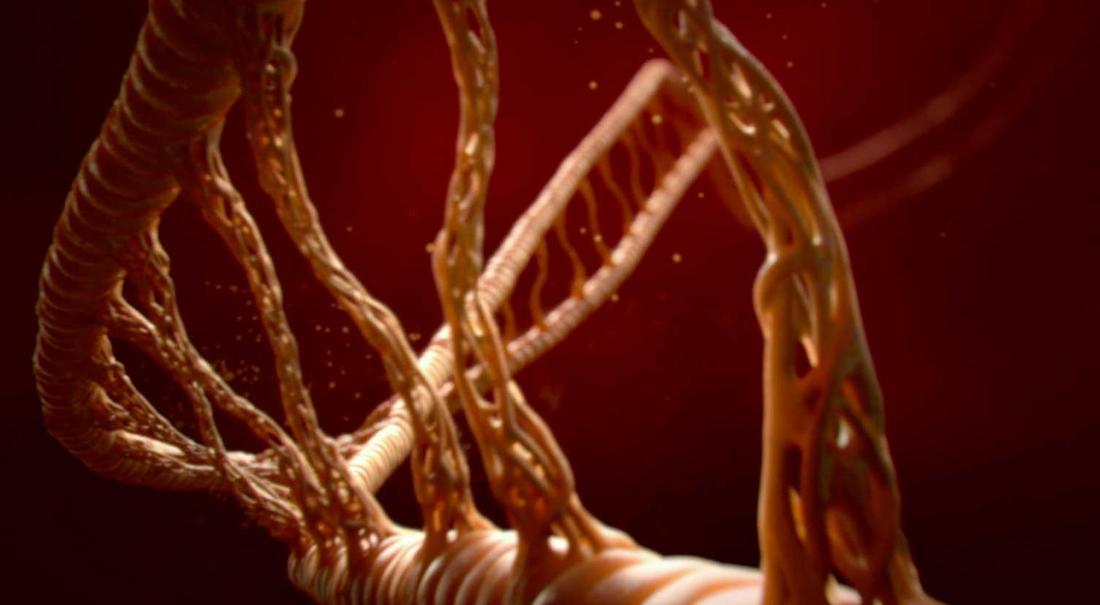 人体上的生命 Life On Us