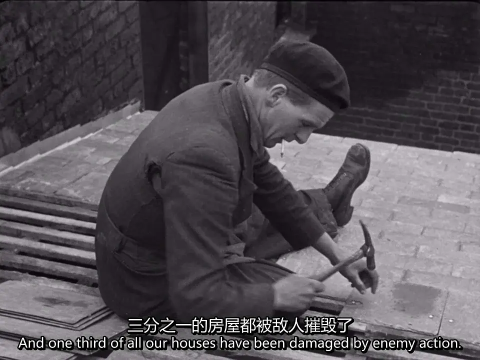 提摩西的日记 A Diary for Timothy