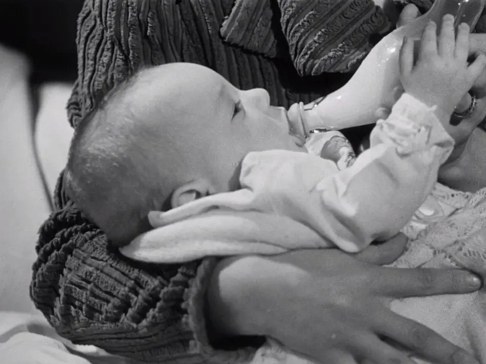 提摩西的日记 A Diary for Timothy