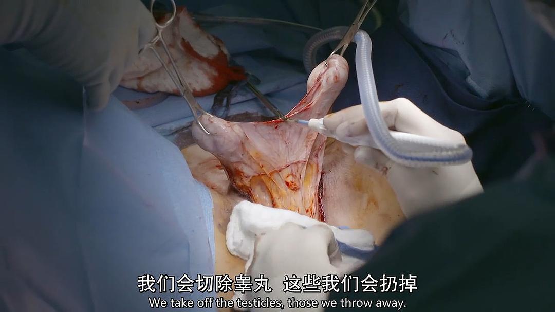 地平线系列:跨性别者 Horizon: Being Transgender