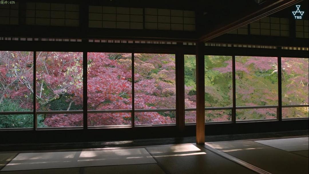 松下奈绪 四季的飨宴 京都料理 ザ・プレミアム 松下奈緒 四季の饗宴 ~京料理~